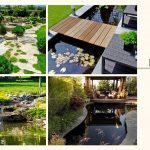 POND